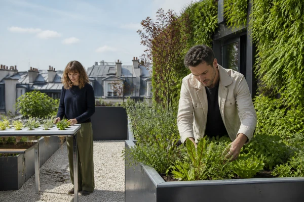 Végétalisation toit terrasse immeuble Pontoise